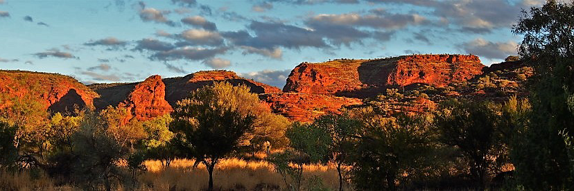 Macroevolution and Macroecology Group banner