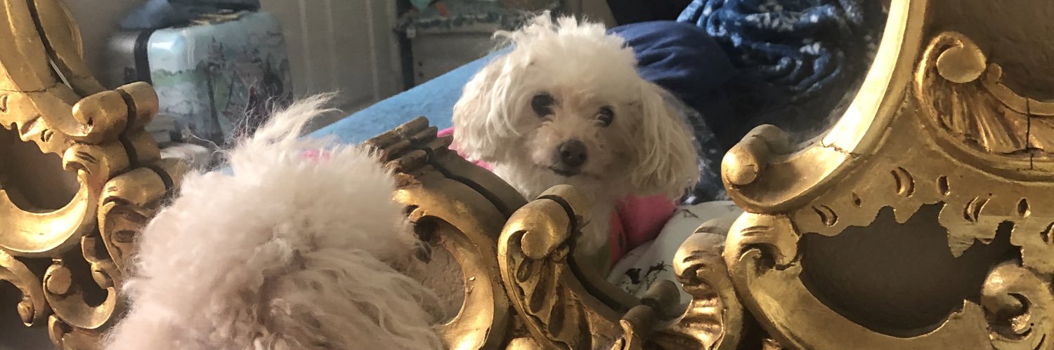 bawbuhe's profile banner image