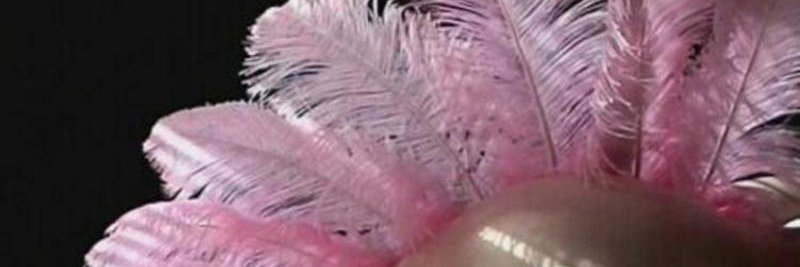 Nicolet Silver Fox banner