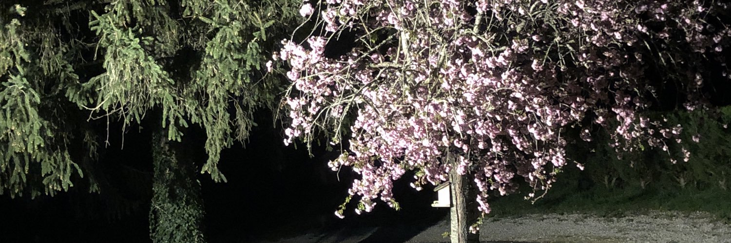Gagotre's profile banner image