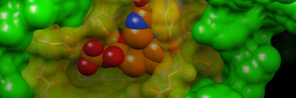 ForliLab Profile Banner