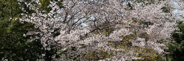 prog_nao Profile Banner