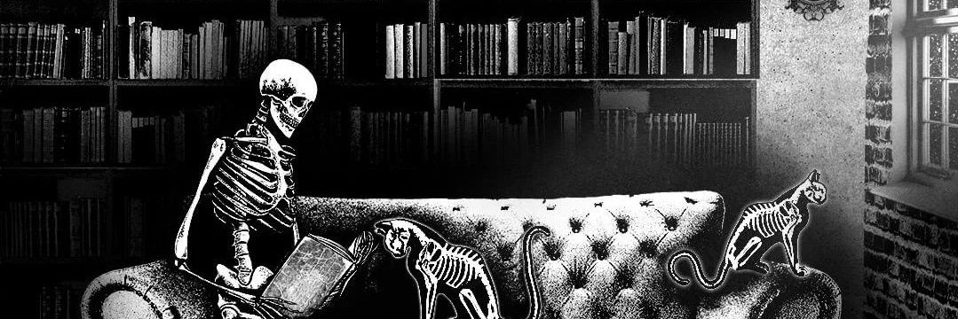 monkeysaresmart's profile banner image