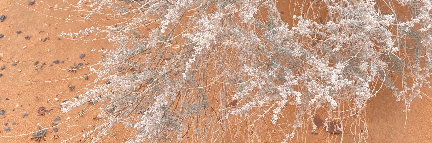 tommyjan15's profile banner image