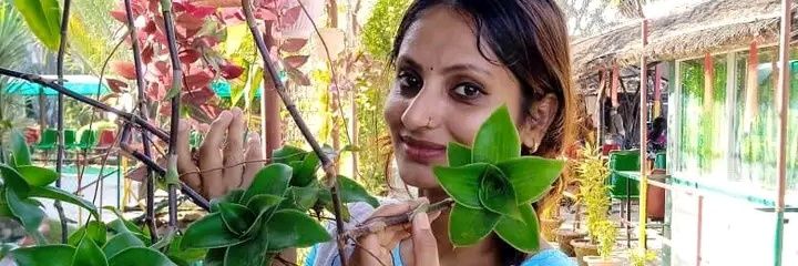 Sangitapokhare5's profile banner image