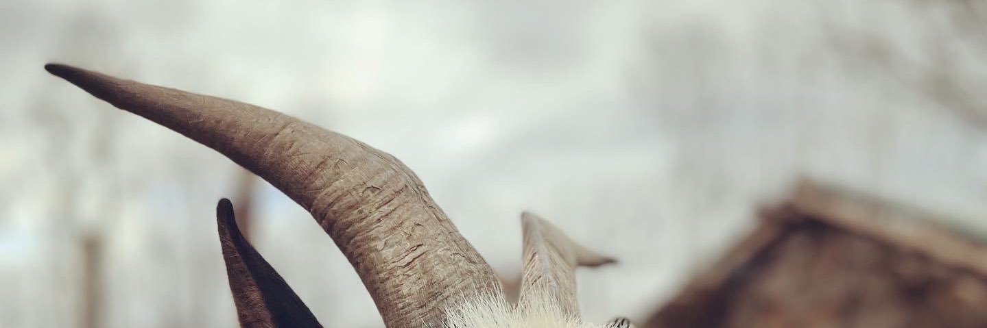 noremaCStudios's profile banner image