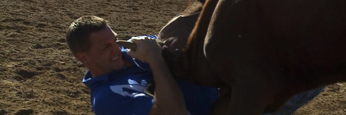 John Lauritsen's banner