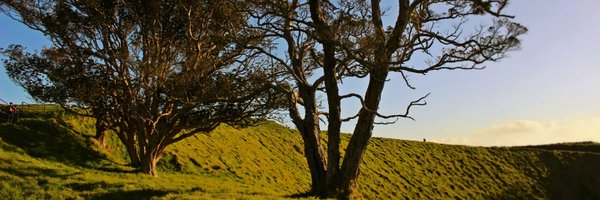 RebeccaNKeating Profile Banner