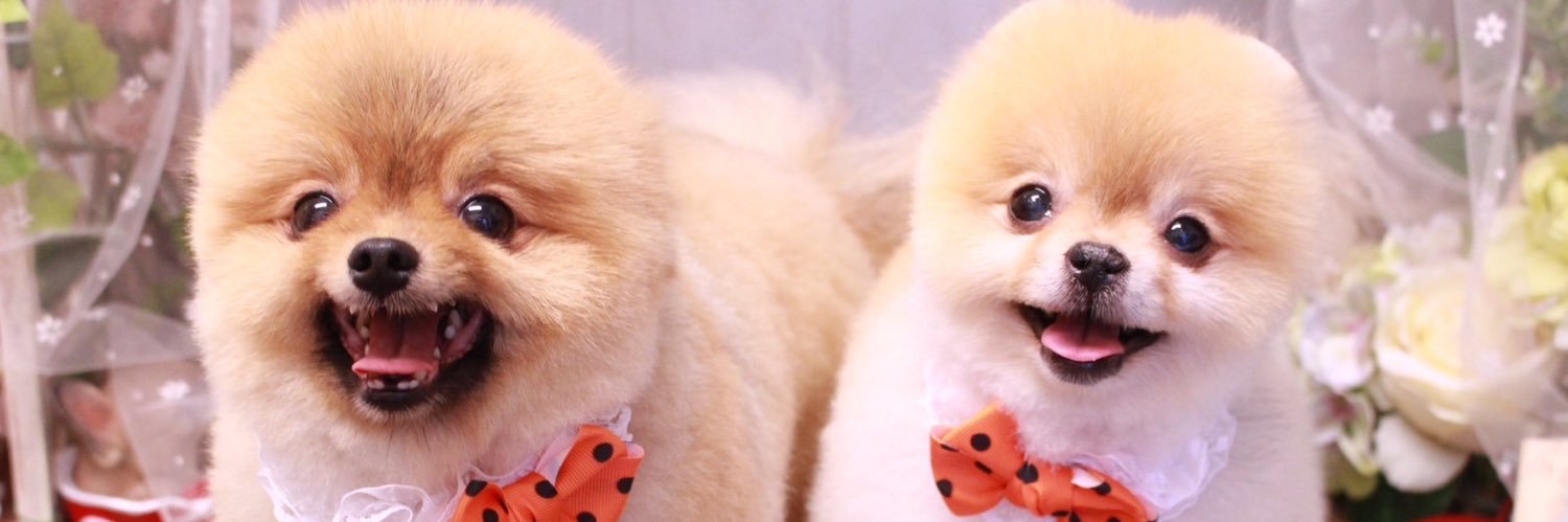 虚無 banner