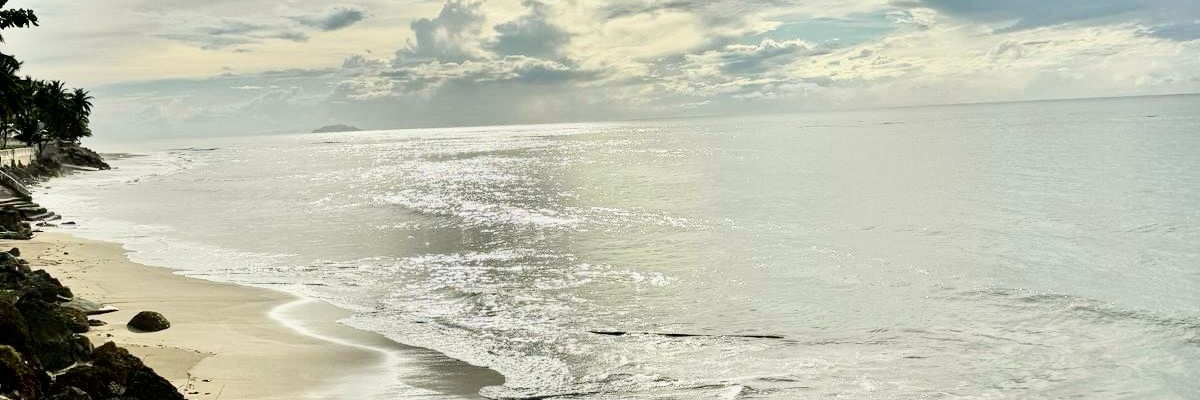 Iriscongusto's profile banner image