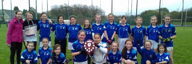 Sciath na Scol Carrigdhoun banner