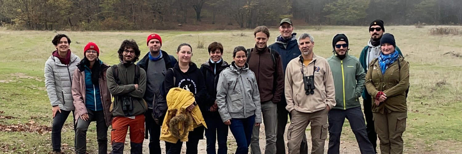 mta-lace.bsky.social banner