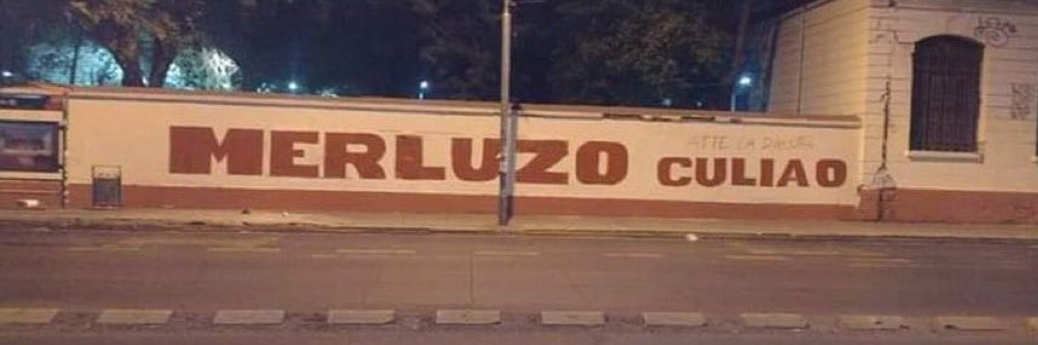 Chile 🇨🇱 Sin Comunista banner