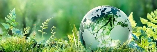 sergeyderienko's profile banner image