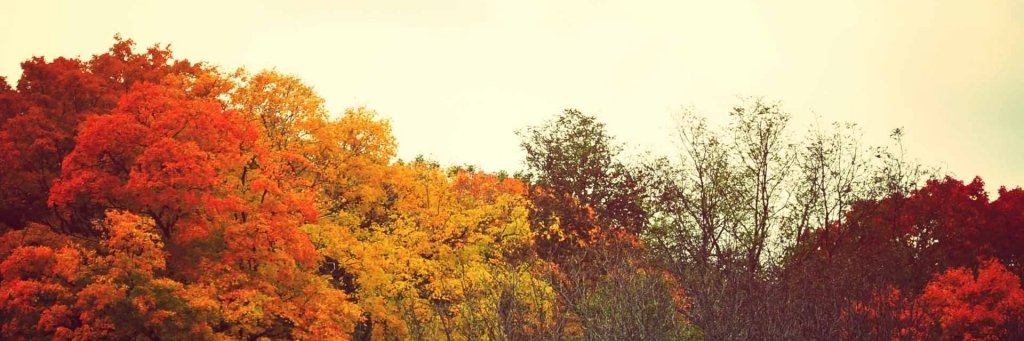 missisabel99's profile banner image