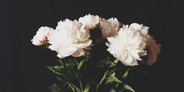 sookaasekaa's profile banner image