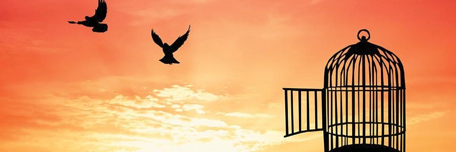 eroomds's profile banner image