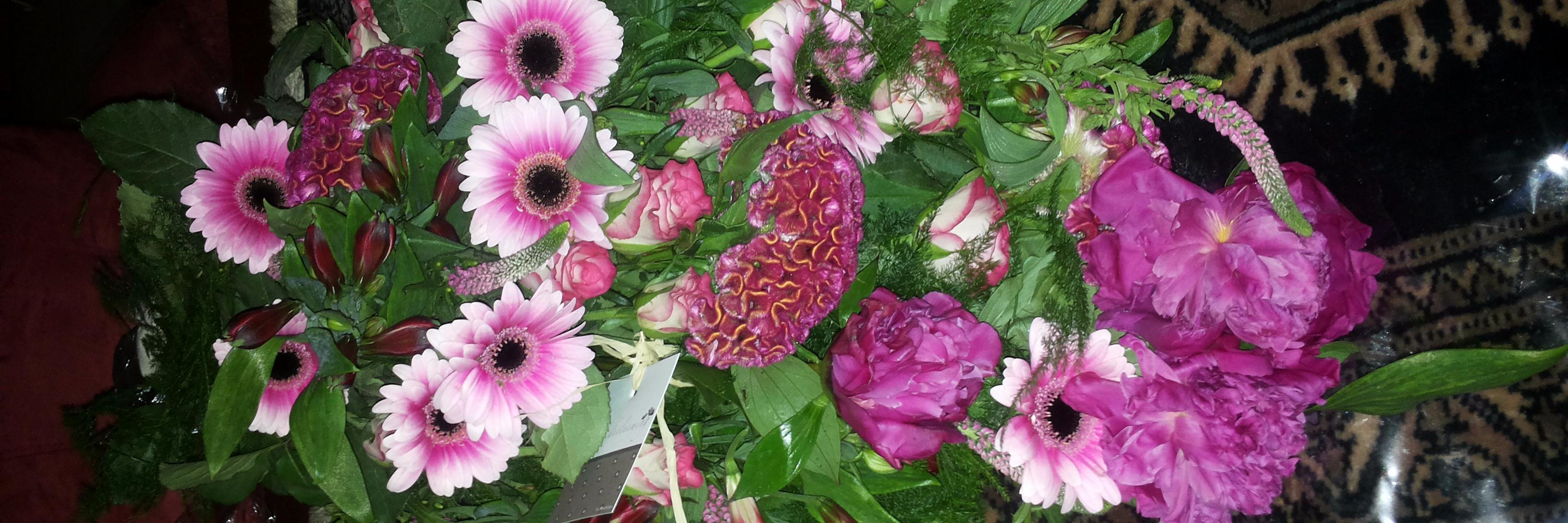 VerburgMiranda's profile banner image