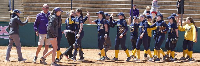 Carleton Softball banner