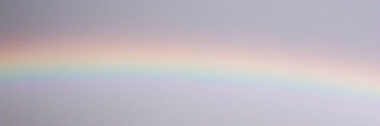 flowersfrommars's profile banner image