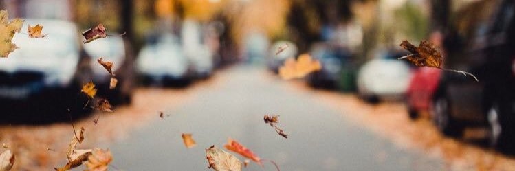 Damlabonceoglu's profile banner image