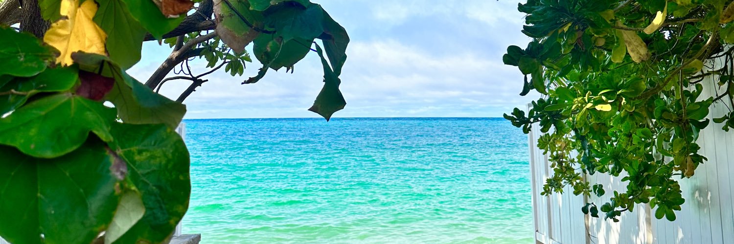 mamiimarin's profile banner image