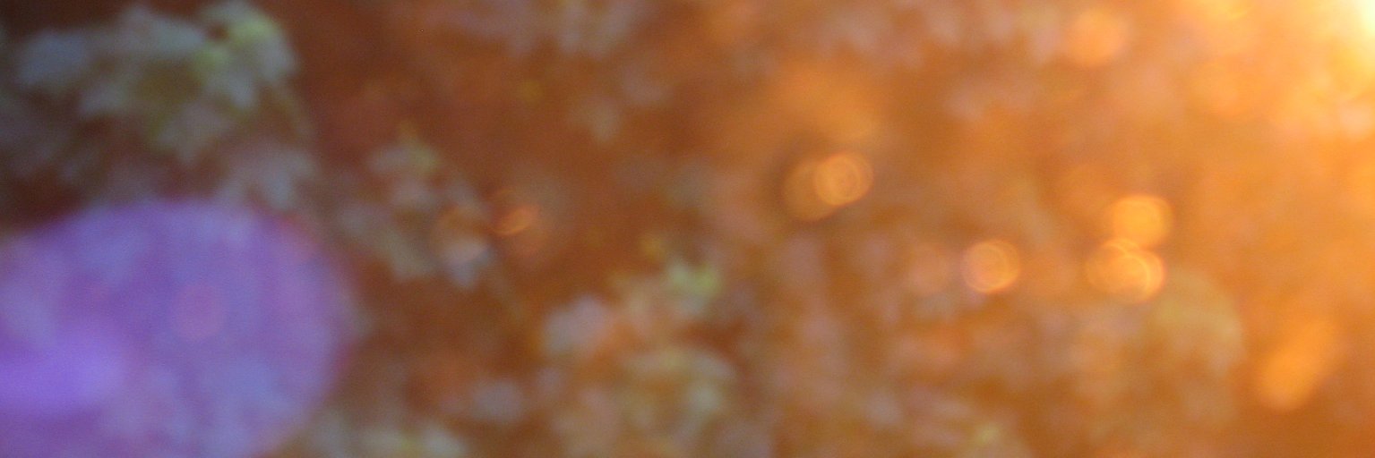 flappershimmer's profile banner image