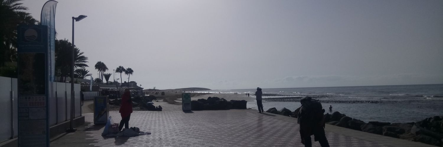 Zoraida González banner