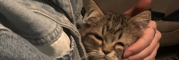 Premseszey's profile banner image