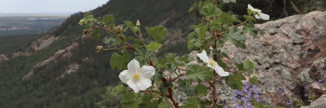 _haleeheath's profile banner image