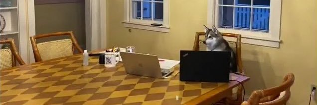 NoAverageJoe21's profile banner image