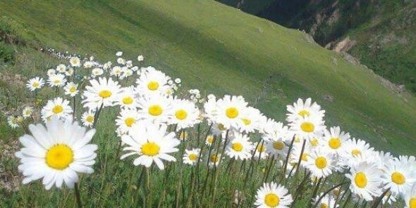halitelci's profile banner image