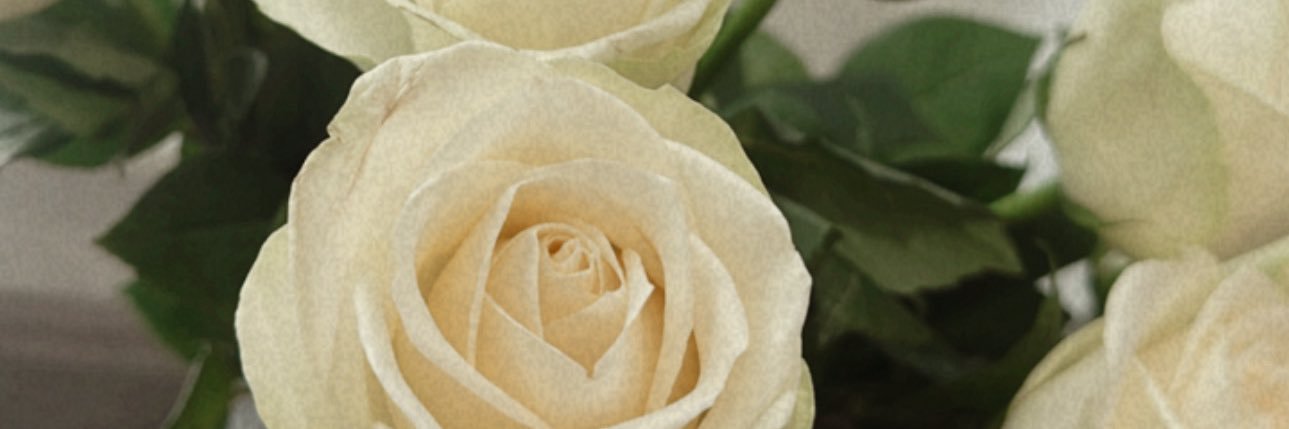 _Courtneypaigex's profile banner image