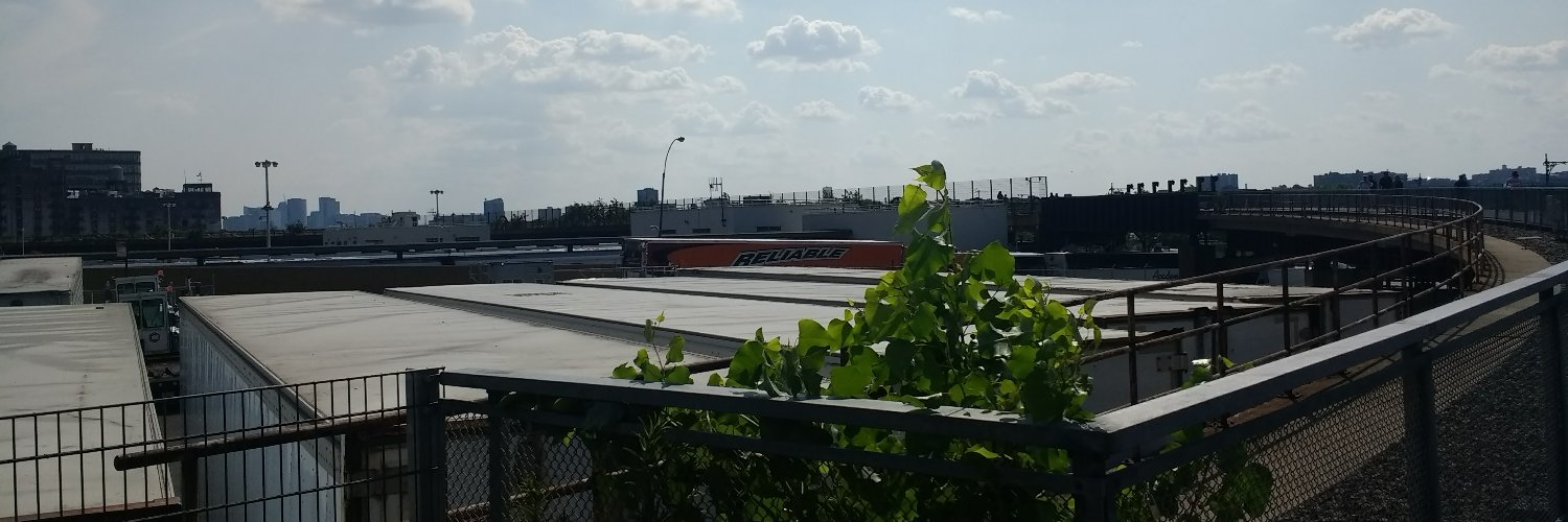 Daniel Pfrommer banner