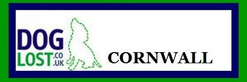 DogLost Cornwall banner