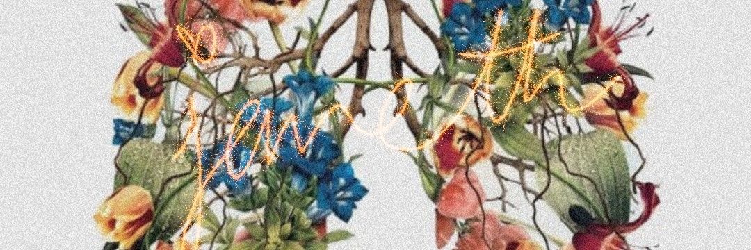 Janettha's profile banner image