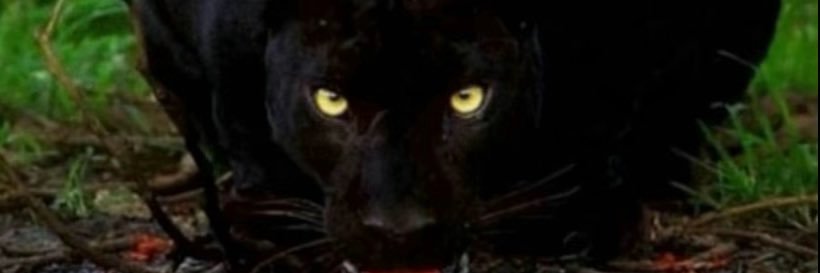 missfabi95's profile banner image