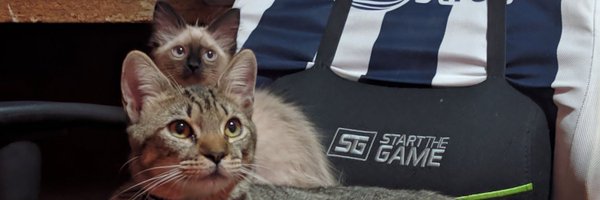 Jess_McMenu Profile Banner