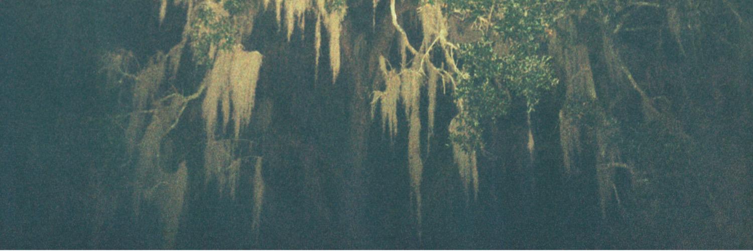 jacki_warren's profile banner image