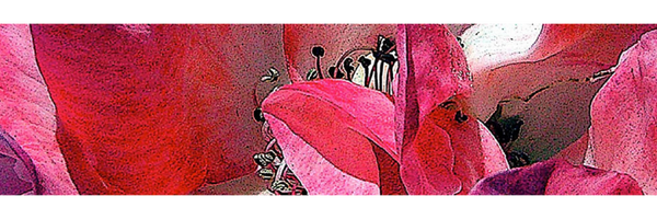 Ghizzi_d Profile Banner
