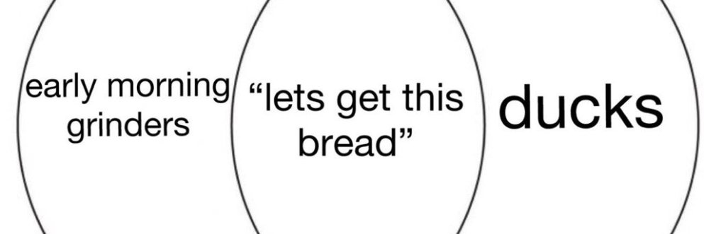 Flekcter's profile banner image