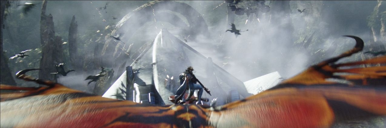 jaden's banner