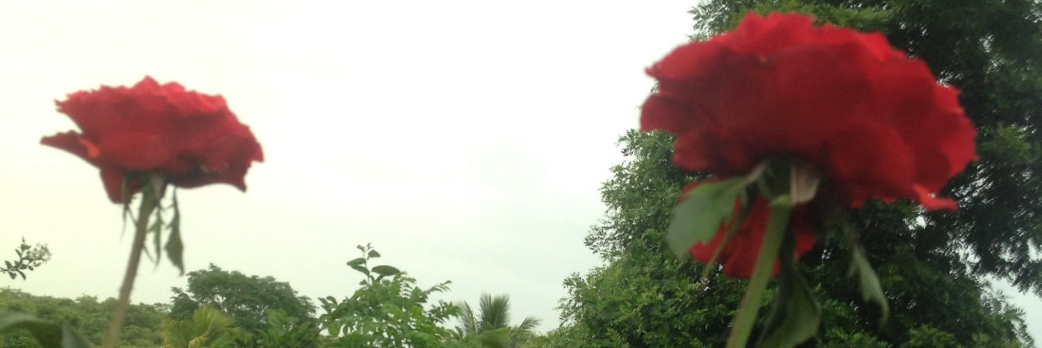 ic_alrcn's profile banner image