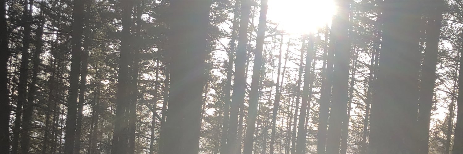 YuntaDavid's profile banner image