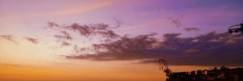 koalacinaa's profile banner image