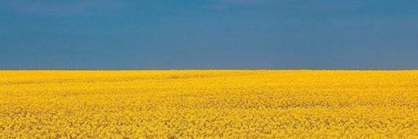 MikeGeoarch Profile Banner