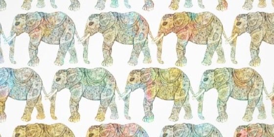abbyruetz's profile banner image