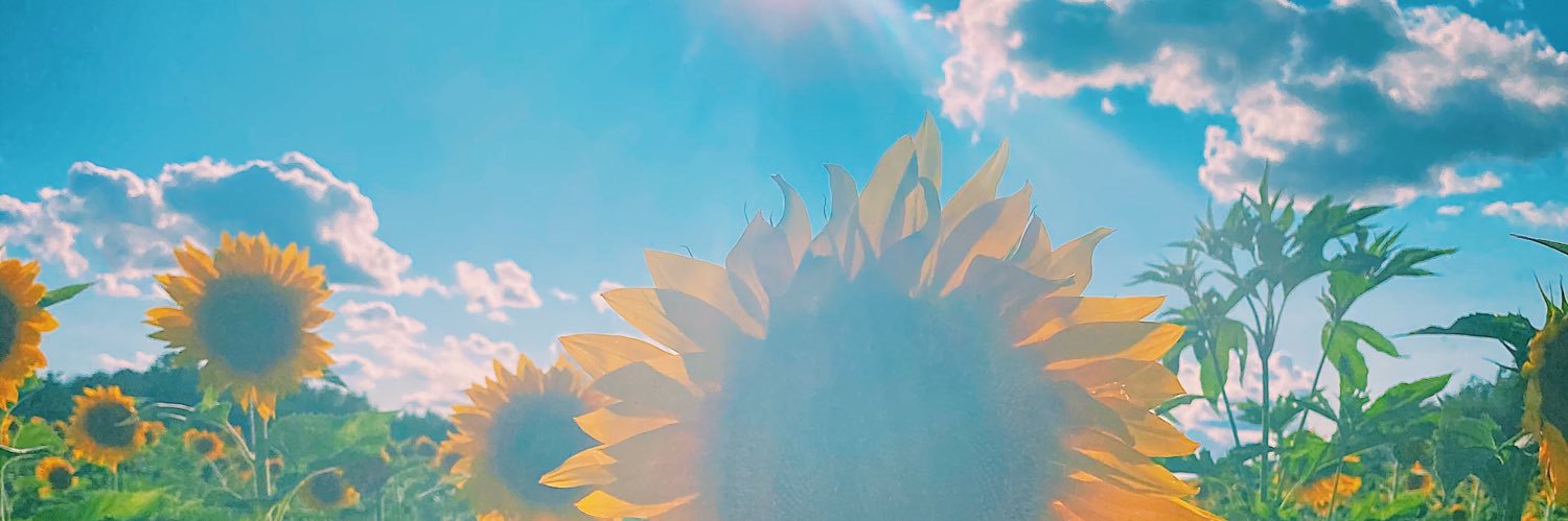 sierra_joness's profile banner image
