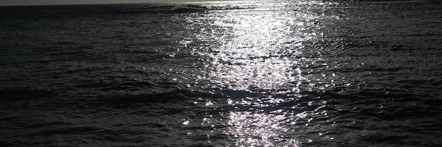 Dlove408's profile banner image