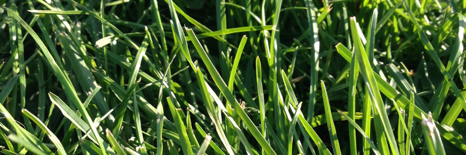 Regionalliga Nord banner